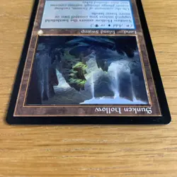 Sunken Hollow (Retro Frame) #204 (NM) Brothers' War BRC Magic MTG Rare Land - Image 4