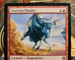 MTG Taurean Mauler x1 LP/NM ~Morningtide (Magic the Gathering)*Free Shipping* - Image 3