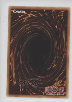 Paladin of the Cursed Dragon 1st Ed. YuGiOh Zombie World Structure Deck 2008 - Image 2