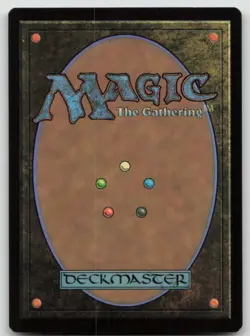 MTG Plains (0287) L The Lost Caverns of Ixalan 287 LP - Image 2