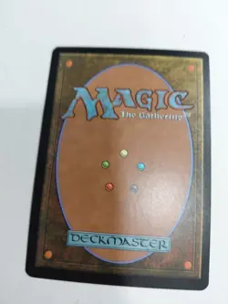 MTG Magic the Gathering Springleaf Drum (261/312) Lorwyn NM - Image 2