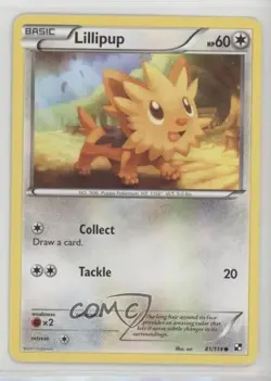 Lillipup Pokemon Black & White Base Set #81 - Image 1