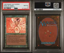 1993 MTG Arabian Nights Drop of Honey PSA 8 Magic the Gathering - Image 2