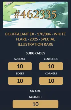 Bouffalant Ex Special Illustration Rare - Ace Graded 10 Gem Mint - Pokemon TCG - Image 3