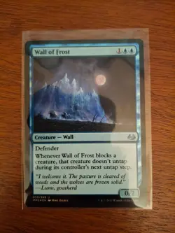 FOIL MTG NM Wall of Frost Core Set 2014 (M14) Regular - Image 1