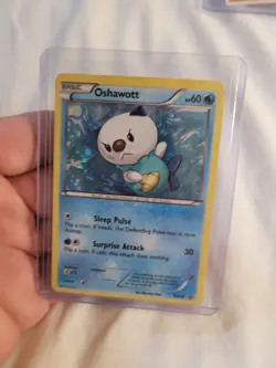 Oshawott BW08 Black Star Promo Cosmos Holo Pokemon B&W Promos Lightly played - Image 1