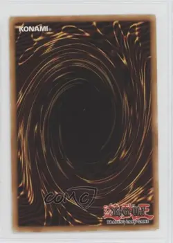Rainbow Path Unlimited YuGiOh Phantom Darkness #PTDN-EN063 2008 - Image 2