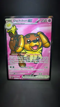 Dachsbun Ex 160 Foil Double Rare Card Steller Crown Near Mint Condition - Image 1