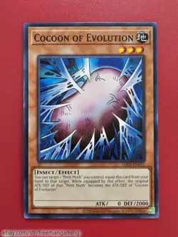 Yugioh Perfectly Ultimate Great Moth Set 6 Card Insect Larvae Petit Weevil - Image 5