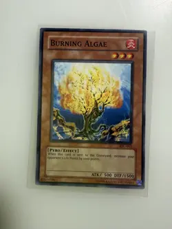 Burning Algae - Invasion of Chaos IOC-062 - Near Mint - YuGiOh - Image 1