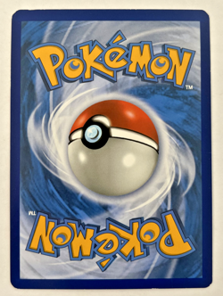 Magikarp & Wailord GX SM166 Sun & Moon Black Star Promo 2019 Pokemon - Image 2