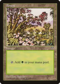 Forest (D) Mirage NM Basic Land MAGIC THE GATHERING MTG CARD ABUGames - Image 1