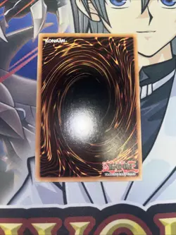 Saffira Dragon Queen of the Voiceless Voice PHNI-EN020 Ultra Rare 1st Yugioh - Image 2