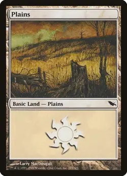 2x Plains (#285) - Foil Shadowmoor MP MTG - Image 1