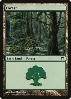 2x Forest (#305) - Foil Champions of Kamigawa MP MTG - Image 1