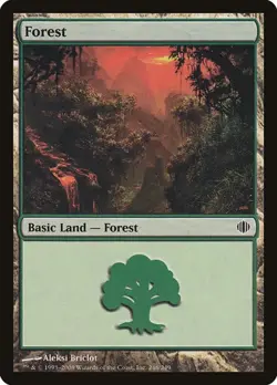 Forest (#246) - Foil Shards of Alara MP MTG - Image 1