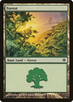 Forest (#248) - Foil Shards of Alara MP MTG - Image 1