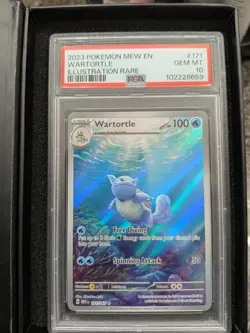 2023 POKEMON SV 151 - MEW EN #171/165 WARTORTLE ILLUSTRATION RARE PSA 10 - Image 1