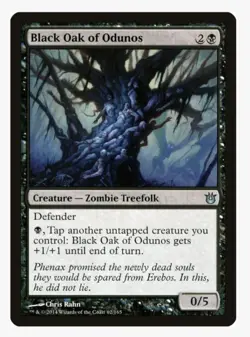 Black Oak of Odunos #62 BNG Magic Card in Protective Sleeve - Image 1