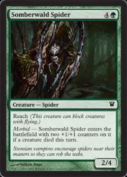 1 x Somberwald Spider - Foil - Innistrad - Light Play - MTG - Image 1