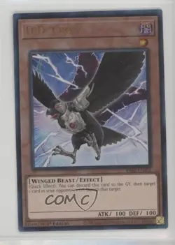 DD Crow 1st Ed. Ultra Rare YuGiOh 25th Anniversary Rarity Collection II - Image 1