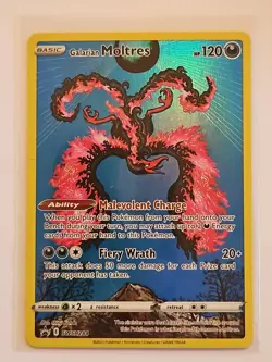 Galarian Moltres SWSH284 Black Star Promo Ultra Rare Holo Pokemon TCG - NM - Image 1
