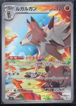 Pokemon TCG Lycanroc 107/100 Sv9: Battle Partners Holo (Japanese) - Image 1