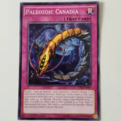 Paleozoic Canadia - TDIL-EN097 - NM/VLP - Common - 1st ed - Yugioh - Image 1