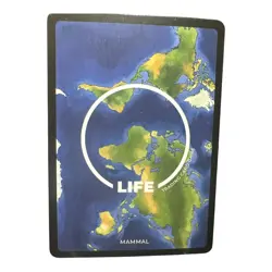 2023 Life TCG Giant Otter 1st Edition Uncommon #29/100 Mammal Trading Card - Image 4