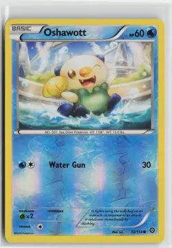 Pokemon Oshawott 30/114 XY - Steam Siege Common card NM - Image 1