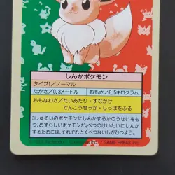 Green On The Back Eevee Pokemon Card Top Sun Confectionery Gum Pocket Monsters C - Image 3