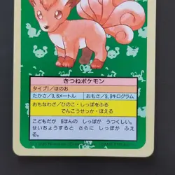 Blue Back Side Locon Pokemon Card Top Sun Confectionery Gum Pocket Monsters Card - Image 3