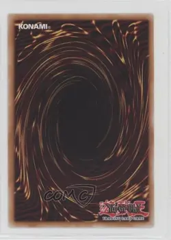Odd-Eyes Vortex Dragon 1st Ed. YuGiOh Pendulum Evolution #PEVO-EN030 - Image 2
