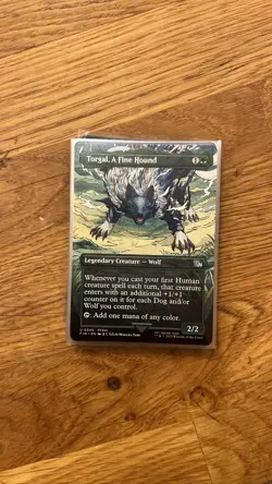MTG Torgal, A Fine Hound Borderless Foil Final Fantasy FFXVI 0345 - Image 1
