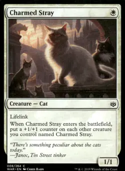 Charmed Stray 008/264 War of the Spark MTG Magic the Gathering card - Image 1