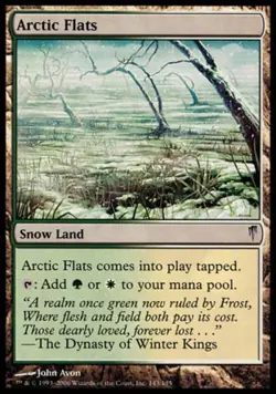 Arctic Flats - Medium Play MTG Coldsnap - Image 1