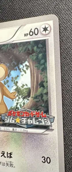 Patrat 011/BW-P LP (Excellent) - 2011 Japanese Pokemon Card - Gym Pack Promo - Image 9