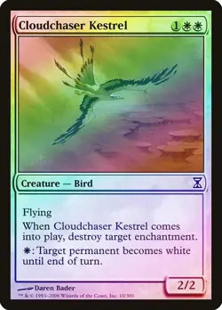Cloudchaser Kestrel FOIL Time Spiral HEAVILY PLD White Common MTG CARD ABUGames - Image 1