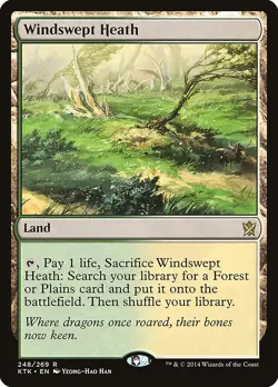 Windswept Heath Khans of Tarkir NM Land Rare MAGIC THE GATHERING CARD ABUGames - Image 1