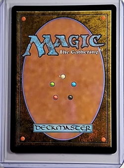 2024 MTG Magic the Gathering Secret Lair Drop Rainbow Foil #824 Evolving Wilds - Image 2