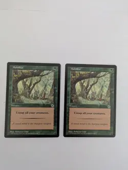 2 Mobilize Portal MTG NM Free shipping with tracking - Image 1