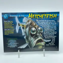 WEIRD AND WILD CREATURES Monsters of the Deep Hatchetfish Card 1 Sealed Vintage - Image 1