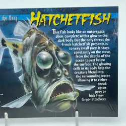 WEIRD AND WILD CREATURES Monsters of the Deep Hatchetfish Card 1 Sealed Vintage - Image 3