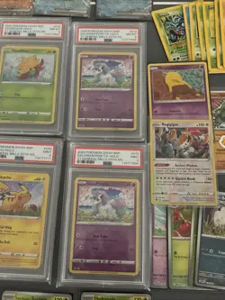 Pokemon Card Lot. PSA. Pikachu. 1st Edition. Eevee Promo. Bonus Sealed Packs - Image 3