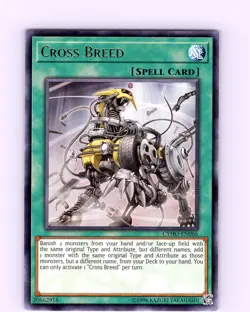 Yu-Gi-Oh TCG Cross Breed CYHO-EN066 Unlimited Regular Rare Card NM - Image 1