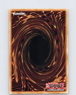 Yu-Gi-Oh TCG Flawless Perfection Of The Tenyi RIRA-EN058 Unlimited Rare Card NM - Image 2