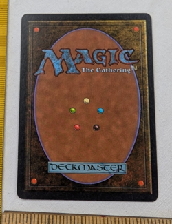 Shapeshifter Antiquities MTG Magic the Gathering CCG card 455 - Image 2