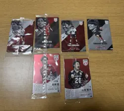 [SC] mc120 All Japan Volleyball Men'S Card With Foil Sign - Image 2