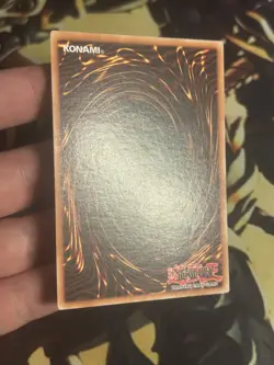 Yugioh: Winged Kuriboh - TLM-EN005 - Ultimate Rare - Unlimited - NM - Image 4