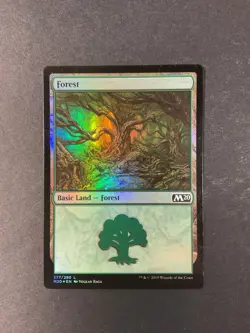 Forest - Foil - 277 - Core Set 2020 - Magic the Gathering - MTG - Image 1
